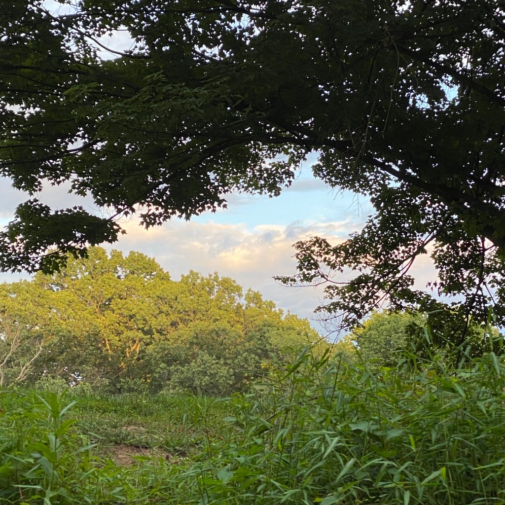 Bethel Park, August 2024